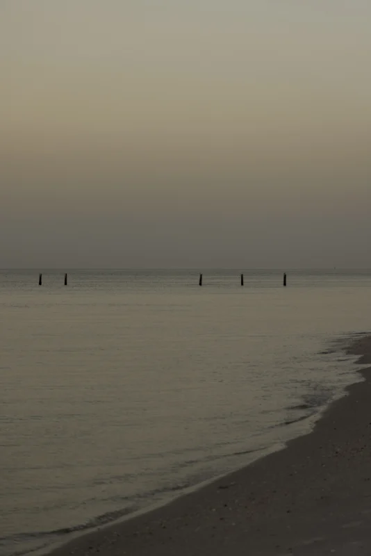 Gulf shoreline in the evening