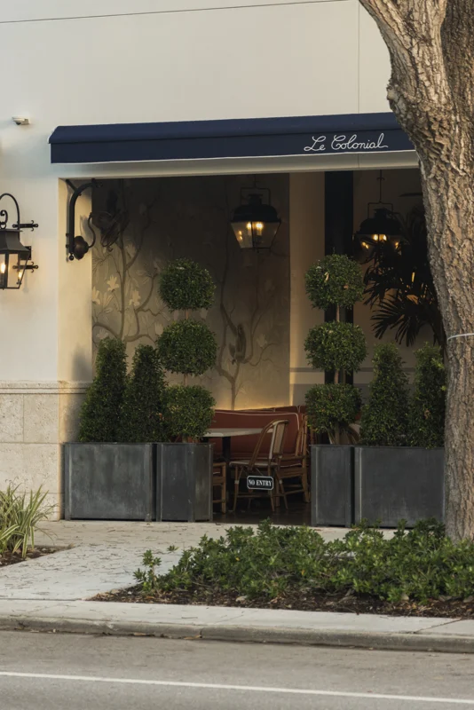 Palm-lined neighborhood storefront