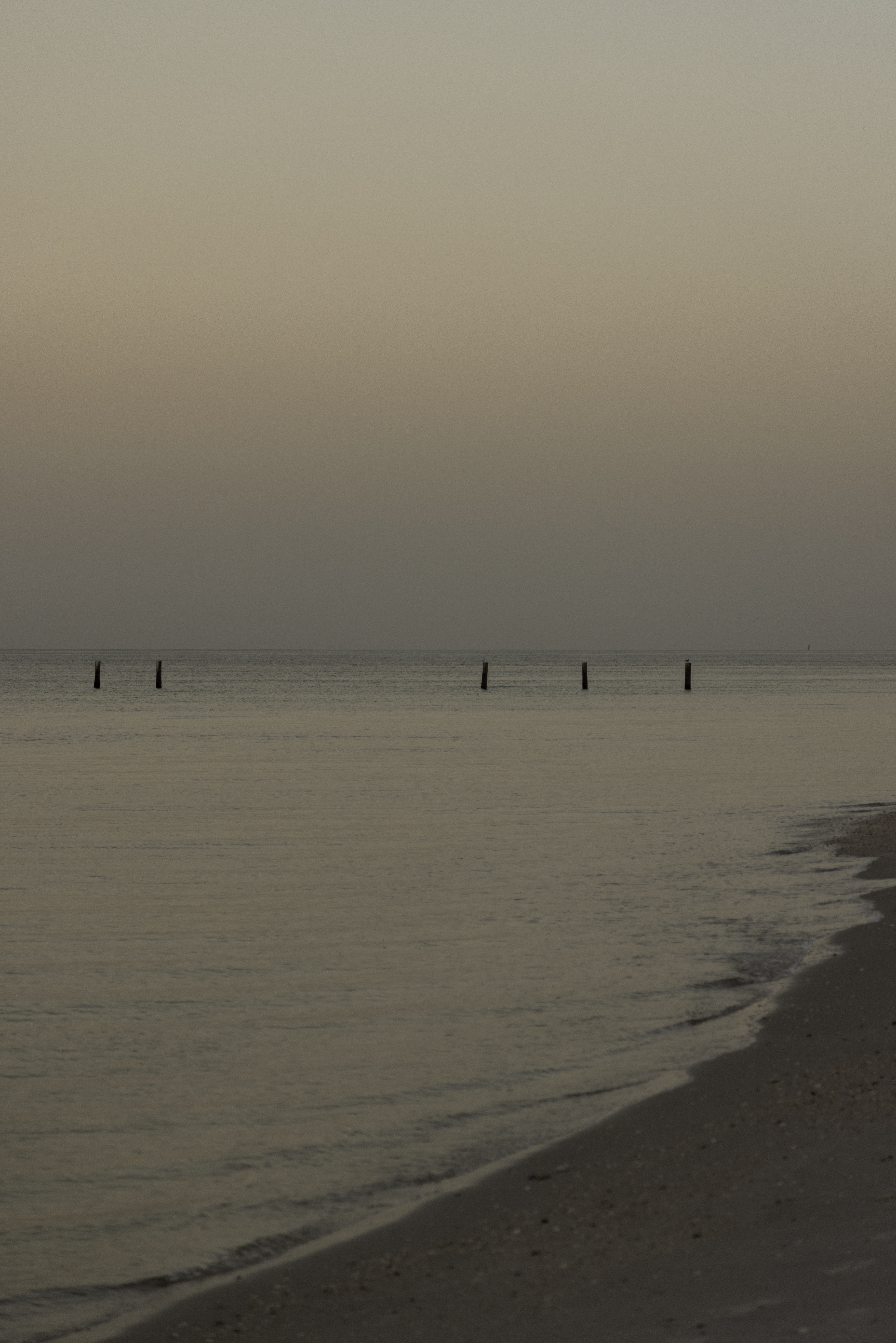 Gulf shoreline in the evening