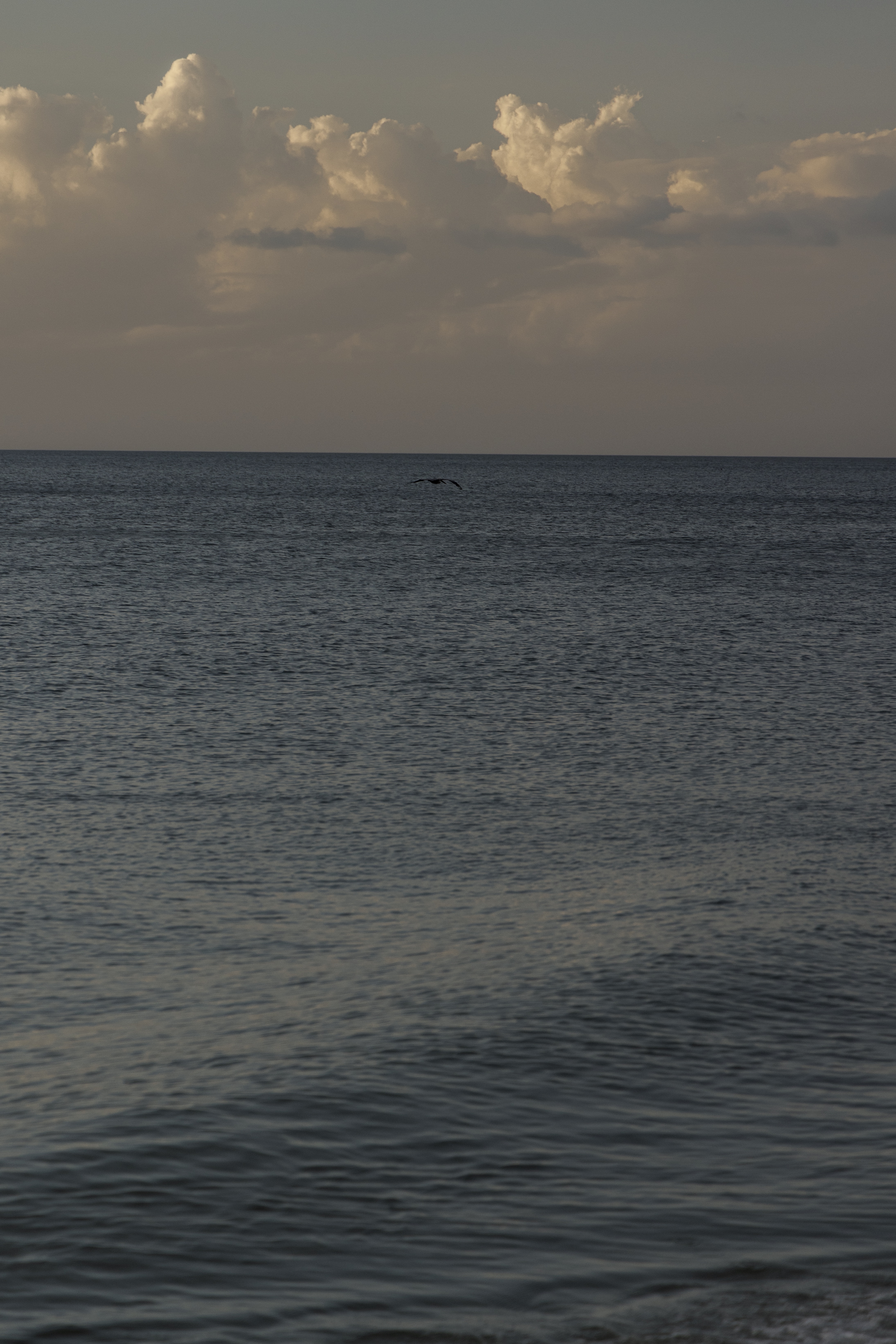 Sunset on the Gulf