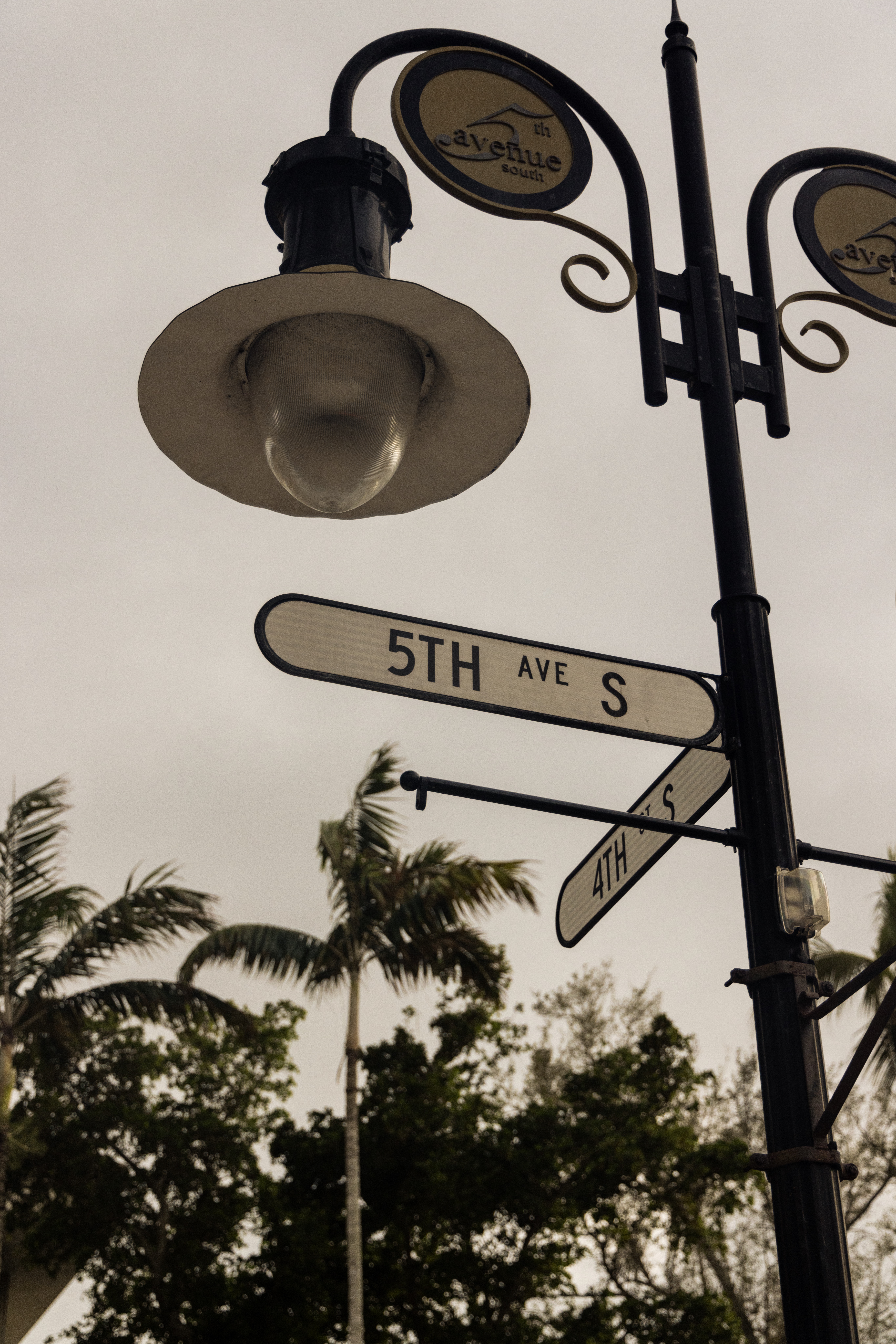 5th Avenue South