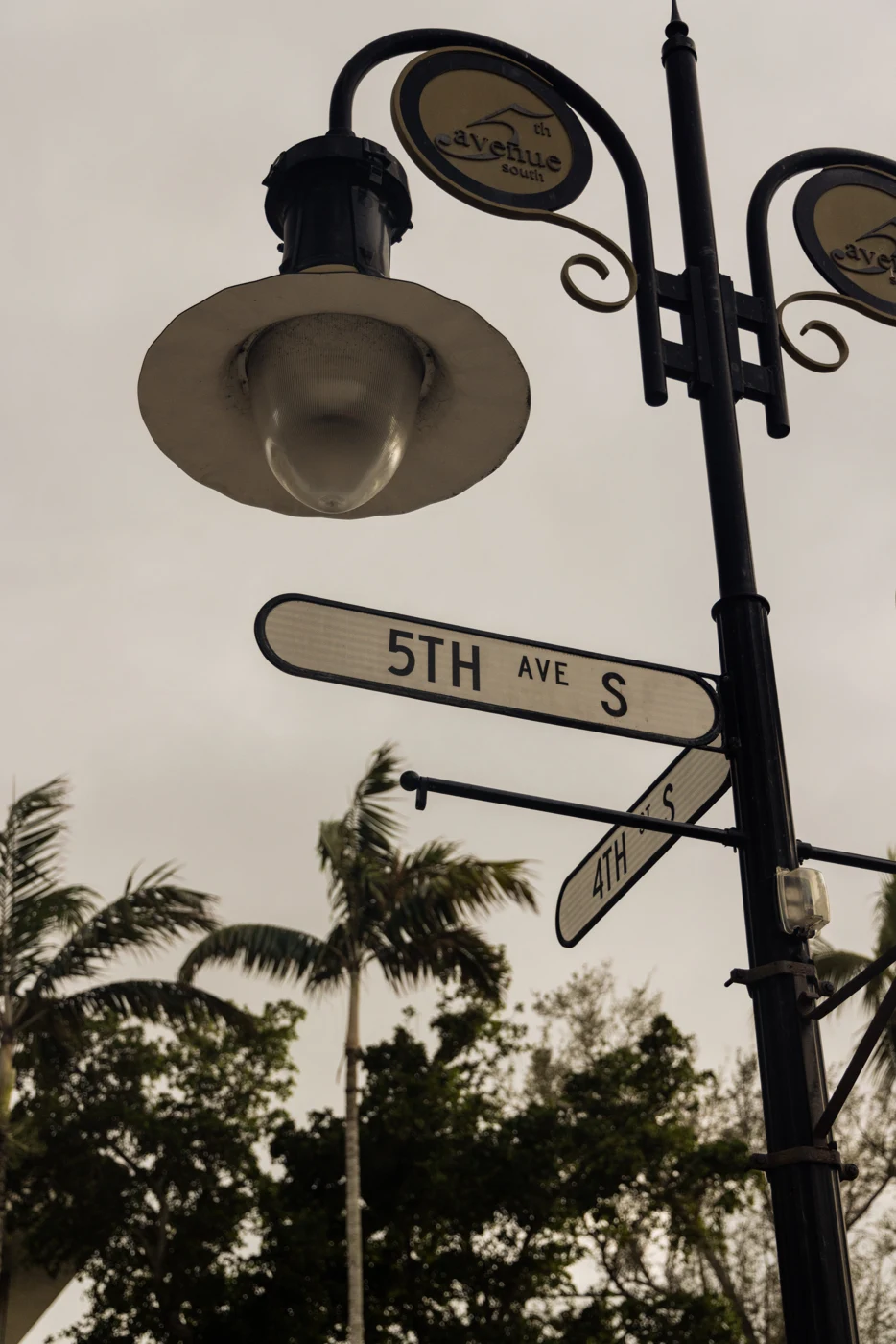 5th Avenue South