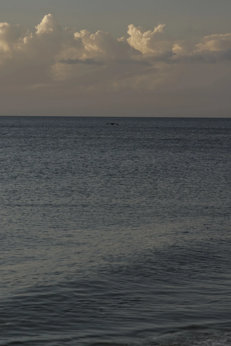 Sunset on the Gulf